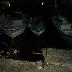 久しぶりのナイトゲーム